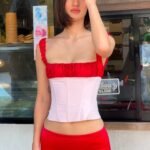 Gia Corset Top